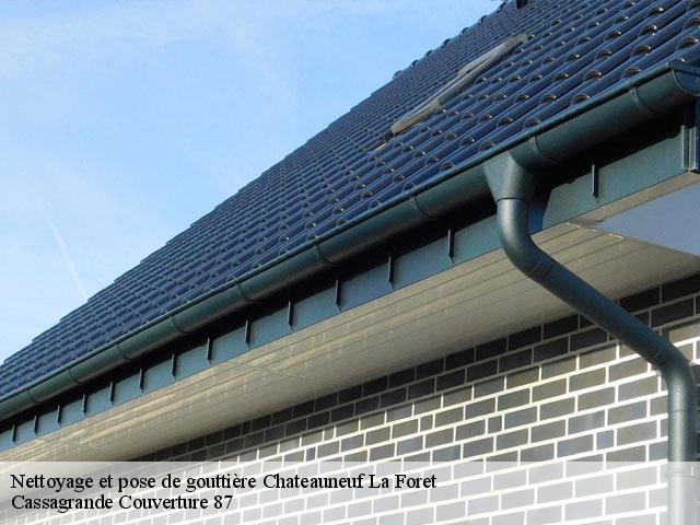 Nettoyage et pose de gouttière  chateauneuf-la-foret-87130 Cassagrande Couverture 87