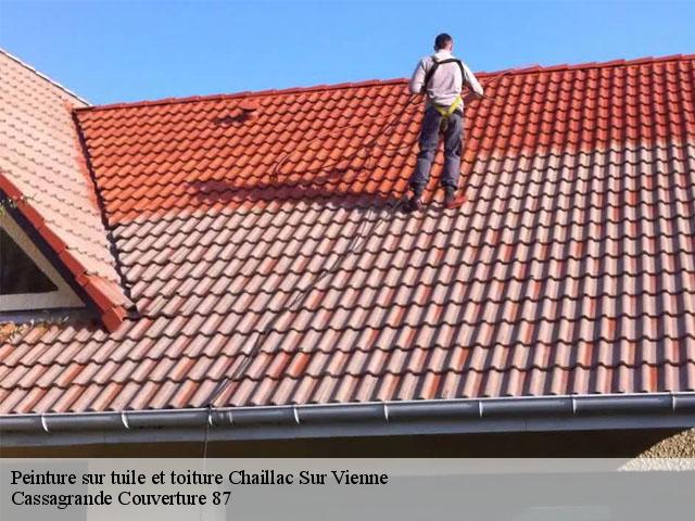 Peinture sur tuile et toiture  chaillac-sur-vienne-87200 Cassagrande Couverture 87