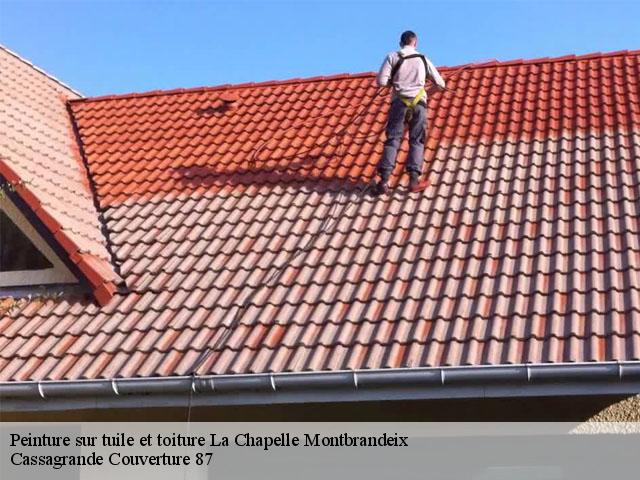 Peinture sur tuile et toiture  la-chapelle-montbrandeix-87440 Cassagrande Couverture 87